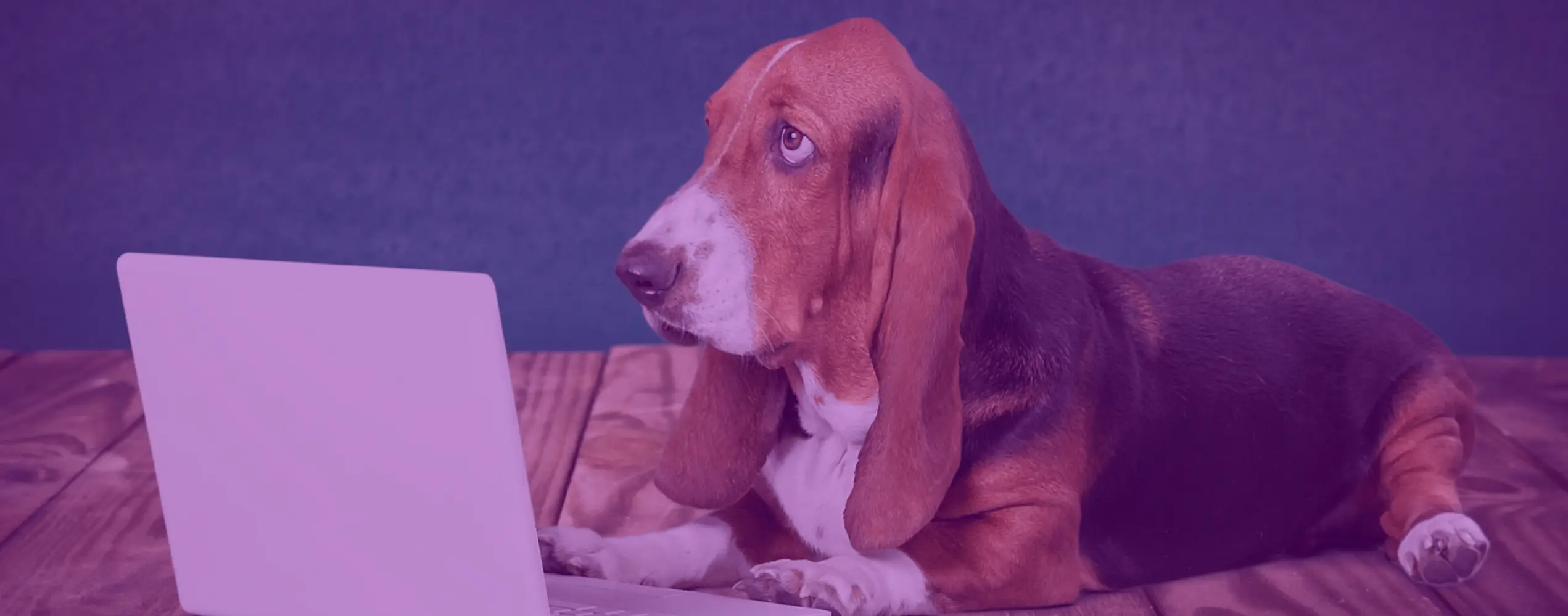 Free Cyber Awareness CPD for UK Vets