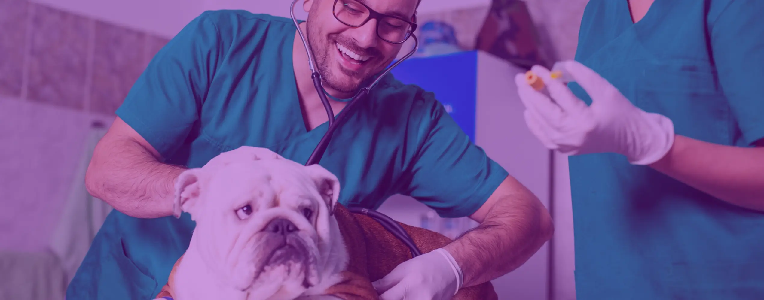 New Wells Veterinary Practice